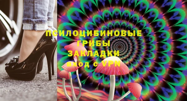 apvp Алзамай