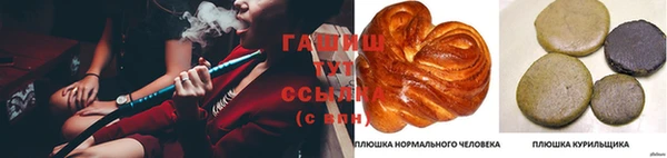 apvp Алзамай
