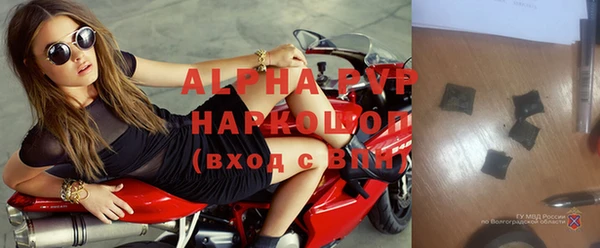 apvp Алзамай
