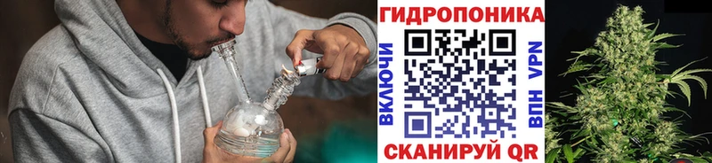 Каннабис индика  Сосновка 